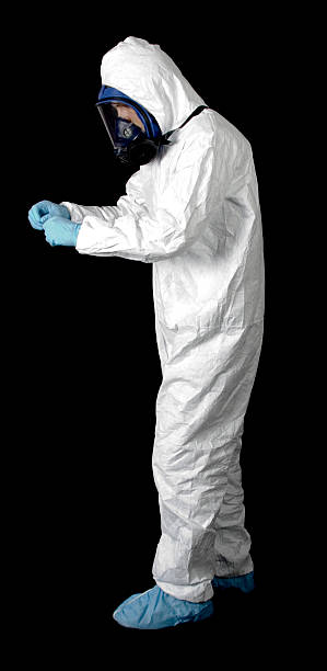 Best Mold Removal for HVAC Installations  in Elmo, TX