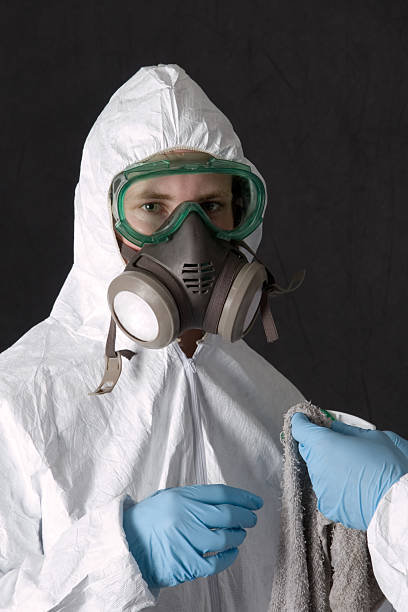 Best Water Damage & Mold Remediation  in Elmo, TX